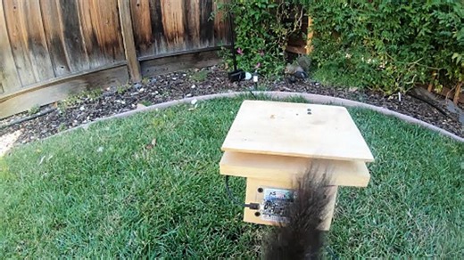 Mark Robers CrunchLabs S02E02 Backyard Squirrel Obstacle Course H 264