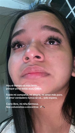 Corre libre mi ángel 🤍#TeExtraño #AmorIncondicional #MiAngelDeCuatroPatas 🐾