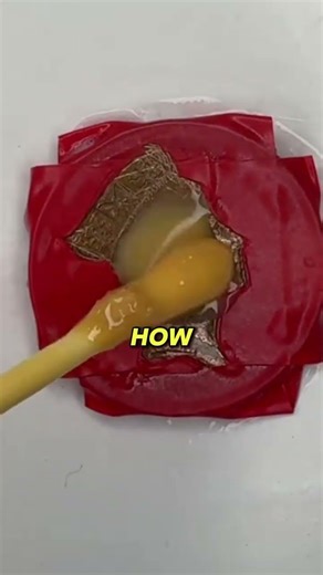 Teacher Tried Teaching Logic… Big Mistake 😂