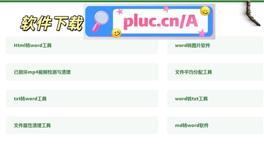 同事力荐！Word 转 TXT 高效工具，批量处理省超多功夫