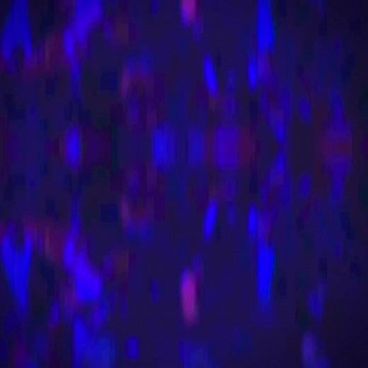 Remembering Kobe Bryant: A Tribute to the Basketball Legend