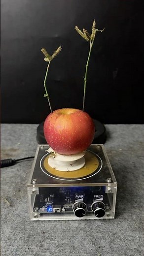 Tesla coil + Apple + 2Plants