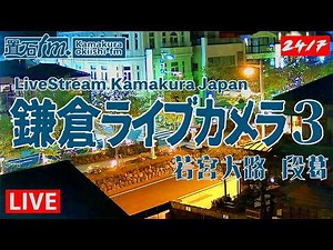 鎌倉 若宮大路 段葛ライブカメラ3「置石fm.第3」Japan Kamakura Live Camera okiishi-fm 🌸🌿⛩ #鎌倉 #お天気 #道路状況 #JapanTourism