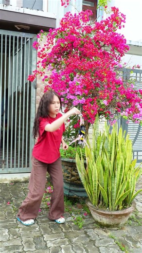 Why Did She Bungee Jump Into My Flower Pot! 😳#funny #vfx #bungeejump