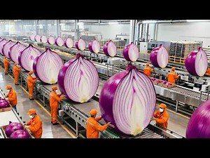 Inside the Largest U.S. Factory: How Millions of Tons of Onion Powder Are Made (Full Process)