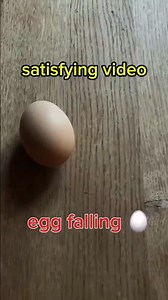 When Did Egg Falling Get So Famous?😁#eggfalling #eggfallingonfloor #eggfallingofftable #fyp #viral