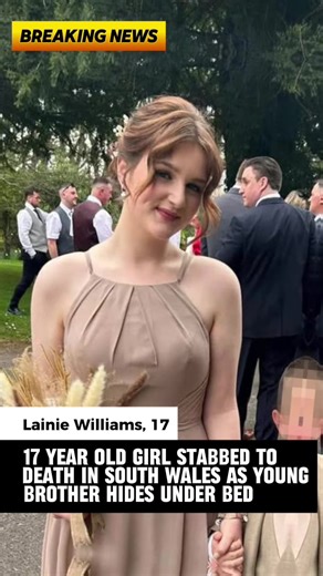 Tragedy in Cefn Fforest: The Loss of Lainie Williams