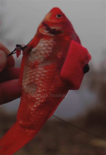 Weekend Fishing Adventures in Nature