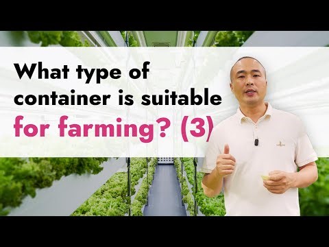 This Container Grows Food While You Sleep! | 5 Game-Changing Systems