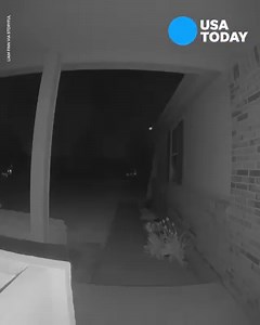 26K views · 145 reactions | A home security camera captured a meteor streaking across the sky in Michigan. | USA TODAY Video | Facebook