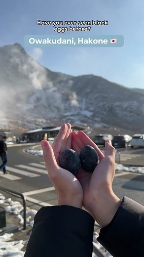Exploring Owakudani: The Mystery of Kuro-tamago Eggs in Hakone 🇯🇵