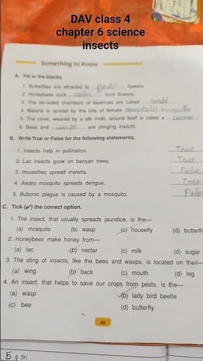 DAV class 4 science chapter 6 insects #cbsc #MCQ #flute #ytshorts