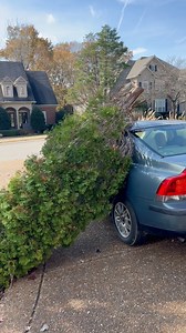I came onside and a tree had fallen on the side of my Volvo. Someone must have been doing landscaping and it blew over 😤 #treeremoval #treefalling #treecare #fails #carcrash | Drive 615
