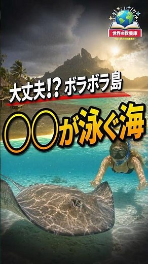 ○○が普通に近くで泳ぐ海、南太平洋の楽園、ボラボラ島の現実3選