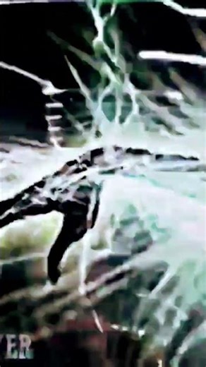 collab with @rainbowwinxxxx #winxclub #winx #edit