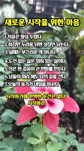 좋은글|새로운 시작을 위한 마음 #좋은글귀 #공감 #힘이되는좋은글
