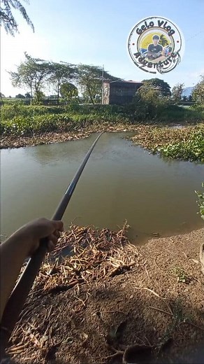 Tawtaw/biwas set-up tutorial #Gelovlog | Gelo Vlog