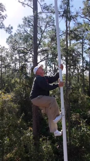 Nerveless Nocks on Instagram: "Quick climb with Michelangelo Nock 🍃⬆️😅 #florida #homeworkouts"