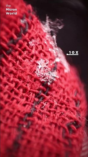 Snowflakes Under the Microscope (10x) ❄️🔬 | Incredible Ice Crystal Patterns #microscope #snow