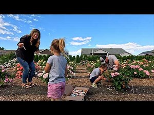 Releasing 3 Types of Beneficial Insects, Rainstorm & Planting RED!!! 🪰🌧️❤️ // Garden Answer