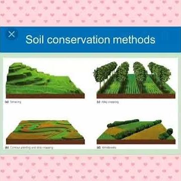 Class- 8 Geography Chapter- 2 soil Conservation Methods PPT