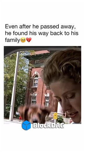 Movie ¦ Core ¦ Entertainment on Instagram: "This hit me right in the feels 😭 📽️: Fluke Workaholic Thomas P. Johnson (Matthew Modine) has achieved professional success at the expense of his family life, having neglected his wife, Carol (Nancy Travis), and son, Brian (Max Pomeranc). After Johnson wrecks his car in a dangerous street race with co-worker Jeff Newman (Eric Stoltz), he finds himself watching his own funeral. Returning to Earth as a dog, Johnson finds his family and struggles to have