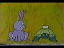 Sesame Street - What if...(rabbit & turtle)
