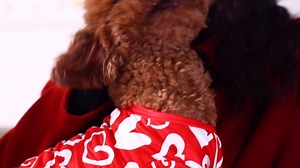 Watch Valentines Day Puppy Dog Pajamas on Amazon Live