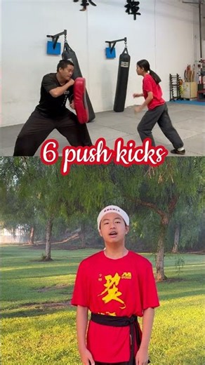 6th Day of Christmas | The 12 Days of Christmas - Kung Fu Parody (2025) #shorts