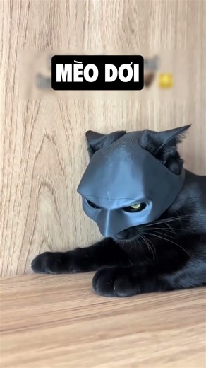 Quan trọng là thần thái - video funny | BonART #shorts