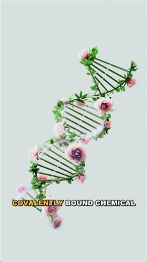 How Carcinogens Damage Your DNA