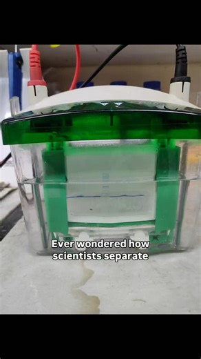 Minal Teacher on Instagram: "SDS-PAGE explained simply! If you’re a Biotechnology / Microbiology / Life Science student, you MUST know this technique 🔬 Save this reel before exams 📚 #SDSPAGE #ProteinElectrophoresis #MicrobiologyStudents #Biotechnology #LifeScience"