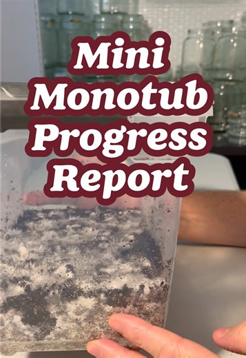 Using Partially Colonized Grain Jars for Growing Mushrooms