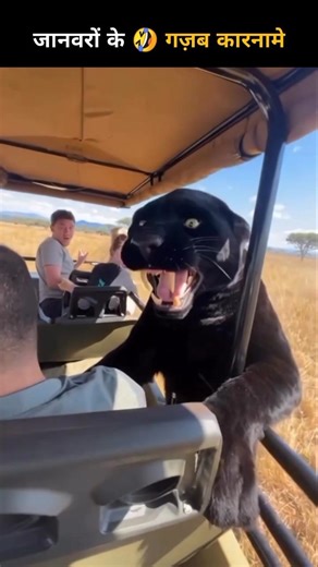 funny video 165 | janwaronke gajab karname #shorts #funny