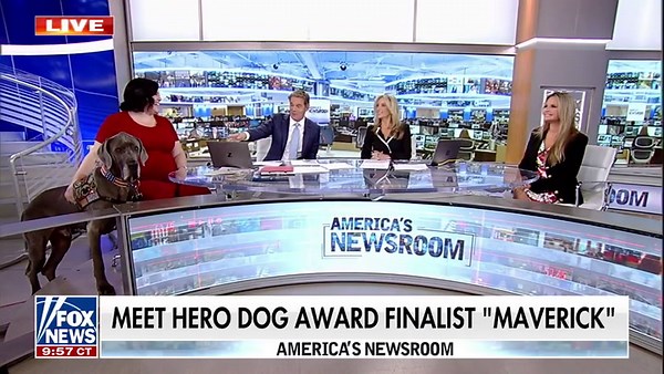 American Humane announces its 2023 Hero Dog Award recipient: Maverick, the 150-pound therapy dog