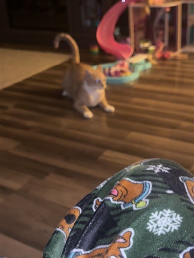 tsxchristina (@tsxchristina)’s videos with SM64 Select a File - MARIO MUSIC!