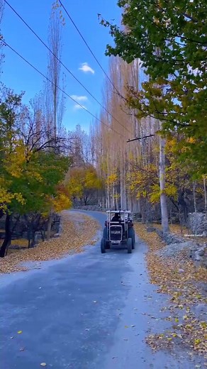 Autumn with Taktar Khaplu rod autumn❤🍂🍂 #khaplu #autumn #2025reelsviralシfypシ゚viralシ | Sikandar kamal vlogs