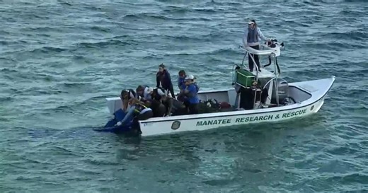 Manatee found sick in Fort Pierce released back into waters after rehabilitation