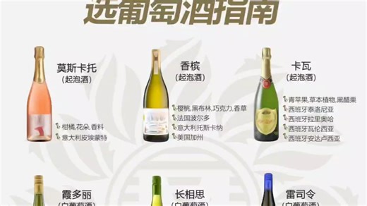 在高档餐厅如何搭配合适的葡萄酒？约会指南宝子们，烛光晚餐怎能没有一杯美酒助兴呢。不论是自带葡萄酒或餐厅点酒面对复杂的葡萄酒品种。