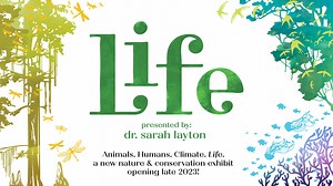 Life: Now Open