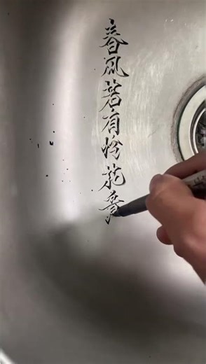 春风若有怜花意，可否许我再少年 #chinesecalligraphy #howtowritechinese #calligraphy #art #drawing