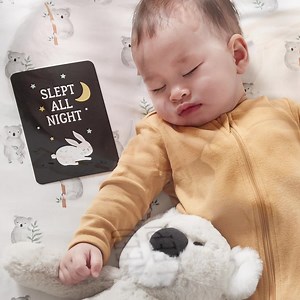 13K views · 81 reactions | Kmart Australia on Reels | Facebook