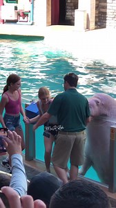 Splashing Walrus #walrus #marinebiology #seaworldorlando #reels | MaR Leh