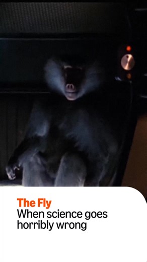 Sci-Fi movies in the 1980s were on a different level. We’ve gone back in time, sadly not in a Delorean, to share some of our fave 80s science fiction flicks. Did yours make the list? | Amazon Fire TV