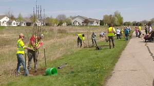 Apple blossoms for Appleton: Family volunteers, donates trees to beautify city