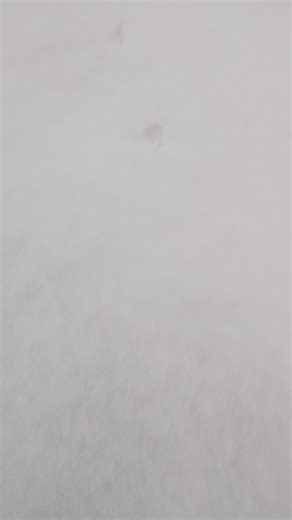 #offroad4x4 #golf2 #golf2syncro #4motion #fyp #mk2 #golf24x4 #4x4offroad