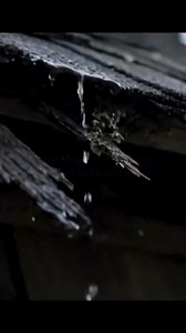 129 reactions · 11 shares | Repairing a roof doesn’t have to be scary! ✨ At Summit Roofing & Restoration, we take the fear out of the process with clear communication, honest estimates, and skilled professionals who treat your home like their own. Whether it’s a few shingles or a full repair, we’ve got you covered—literally.  ✅ Free inspections ✅ Transparent pricing ✅ Quality craftsmanship | Summit Roofing and Restoration, Inc. | Facebook