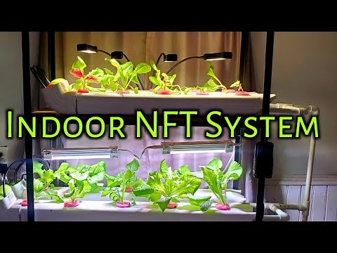 Indoor Home NFT Hydroponics System On A Budget-Kitchen NFT System