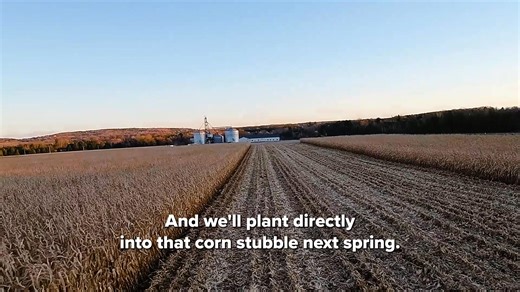 🌽 The Ontario corn harvest is in full swing! Ever wonder how corn is grown, harvested, and used across the province? Ontario produces about 65% of Canada’s total corn, making it a powerhouse in Canadian agriculture🚜 Watch the full video learn more about how Ontario corn is harvested, and feeds our communities https://youtube.com/watch?v=mE03aa2whes #OntarioCorn #ontag #harvest25 | Ontario Federation of Agriculture