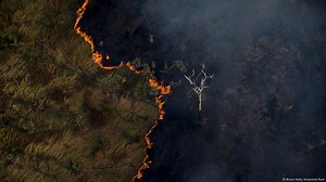 Indigenous women fighting fires in the Amazon